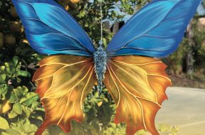 urkainian-butterflies