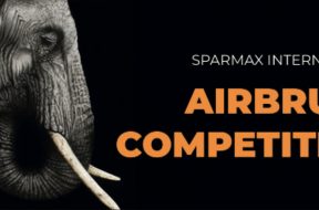 sparmax_contest